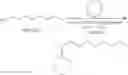 Fig. 58 - Catalytic C—H bond activation