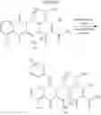 Fig. 2248 - Methods of using substituted tetracycline compounds to modulate RNA