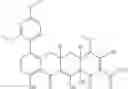 Fig. 288 - Methods of using substituted tetracycline compounds to modulate RNA