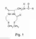 Fig. 02 - Precursor for labeling therapeutic agent for liver cancer and method for manufacturing the same