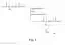 Fig. 04 - Precursor for labeling therapeutic agent for liver cancer and method for manufacturing the same