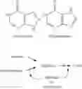 Fig. 34 - PHENYLTHIOACETATE COMPOUNDS, COMPOSITIONS AND METHODS OF USE