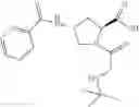 Fig. 10 - Synthesis of pyrrolidine compounds