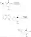 Fig. 49 - Synthesis of pyrrolidine compounds