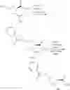 Fig. 50 - Synthesis of pyrrolidine compounds