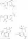 Fig. 16 - Compounds that modulate intracellular calcium