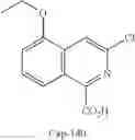 Fig. 167 - Hepatitis C virus inhibitors
