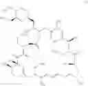 Fig. 08 - Low temperature synthesis of rapamycin derivatives
