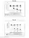 Fig. 07 - Anti-microbial activity of synthetic peptides