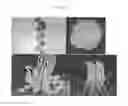 Fig. 04 - Chimeric Spider Silk Polypeptides and Fibers and Uses Thereof