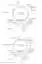 Fig. 05 - Chimeric Spider Silk Polypeptides and Fibers and Uses Thereof
