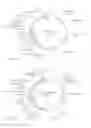 Fig. 06 - Chimeric Spider Silk Polypeptides and Fibers and Uses Thereof