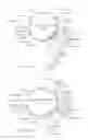 Fig. 07 - Chimeric Spider Silk Polypeptides and Fibers and Uses Thereof