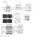 Fig. 20 - TFEB variants and uses thereof