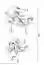 Fig. 05 - BINDING POLYPEPTIDES WITH OPTIMIZED SCAFFOLDS
