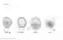 Fig. 06 - MDR specific antibody