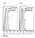 Fig. 09 - BLOOD BRAIN BARRIER SHUTTLE