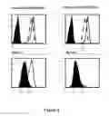 Fig. 05 - HLA-RESTRICTED, PEPTIDE-SPECIFIC BINDING PROTEINS