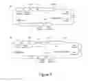 Fig. 08 - HLA-RESTRICTED, PEPTIDE-SPECIFIC BINDING PROTEINS