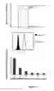 Fig. 09 - HLA-RESTRICTED, PEPTIDE-SPECIFIC BINDING PROTEINS