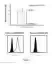 Fig. 12 - HLA-RESTRICTED, PEPTIDE-SPECIFIC BINDING PROTEINS