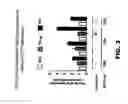 Fig. 06 - NOTUM PROTEIN MODULATORS AND METHODS OF USE