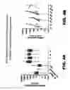 Fig. 07 - NOTUM PROTEIN MODULATORS AND METHODS OF USE