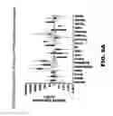 Fig. 08 - NOTUM PROTEIN MODULATORS AND METHODS OF USE
