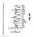 Fig. 09 - NOTUM PROTEIN MODULATORS AND METHODS OF USE