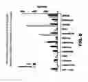 Fig. 10 - NOTUM PROTEIN MODULATORS AND METHODS OF USE
