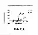 Fig. 28 - NOTUM PROTEIN MODULATORS AND METHODS OF USE