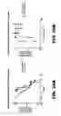 Fig. 41 - NOTUM PROTEIN MODULATORS AND METHODS OF USE