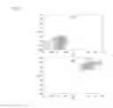 Fig. 03 - NOVEL POLYSACCHARIDE IMMUNOGENS FROM CLOSTRIDIUM BOLTEAE ISOLATED FROM AUTISTIC SUBJECTS AND METHODS AND USES THEREOF