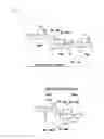 Fig. 05 - NOVEL POLYSACCHARIDE IMMUNOGENS FROM CLOSTRIDIUM BOLTEAE ISOLATED FROM AUTISTIC SUBJECTS AND METHODS AND USES THEREOF