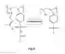 Fig. 08 - Mixed charge copolymers and hydrogels
