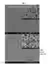 Fig. 08 - Methods of electrospinning and compositions made therefrom