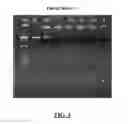 Fig. 04 - Carrier nanoparticles and related compositions, methods and systems