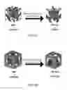 Fig. 09 - Networks and method for producing the same