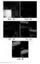 Fig. 09 - HYDROPHOBIC AND OLEOPHOBIC SURFACES AND USES THEREOF