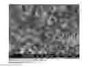 Fig. 01 - PRESSURE-SENSITIVE ADHESIVE COMPOUND CONTAINING A CROSS-LINKED NANOPARTICLE NETWORK, METHOD OF PRODUCTION AND USE THEREOF