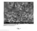 Fig. 02 - PRESSURE-SENSITIVE ADHESIVE COMPOUND CONTAINING A CROSS-LINKED NANOPARTICLE NETWORK, METHOD OF PRODUCTION AND USE THEREOF