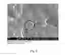 Fig. 04 - PRESSURE-SENSITIVE ADHESIVE COMPOUND CONTAINING A CROSS-LINKED NANOPARTICLE NETWORK, METHOD OF PRODUCTION AND USE THEREOF