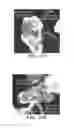 Fig. 13 - ALTERING THE INTERFACE OF HYDROCARBON-COATED SURFACES