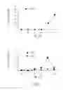 Fig. 04 - Production of insulin producing cells