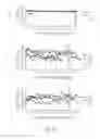 Fig. 08 - Production of insulin producing cells