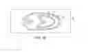 Fig. 16 - Micro blood vessels and tissue ducts