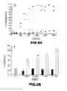 Fig. 04 - RNA APTAMERS AND METHODS FOR IDENTIFYING THE SAME