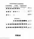 Fig. 11 - RNA APTAMERS AND METHODS FOR IDENTIFYING THE SAME