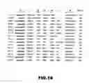 Fig. 19 - RNA APTAMERS AND METHODS FOR IDENTIFYING THE SAME