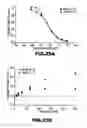 Fig. 24 - RNA APTAMERS AND METHODS FOR IDENTIFYING THE SAME